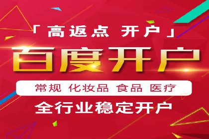 SEM服务在本地化营销中的应用案例